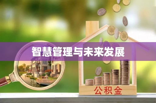 门头沟智慧管理与未来发展